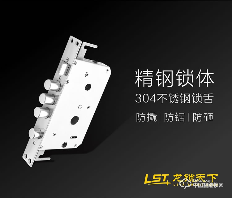 龍鎖天下智能鎖 指紋密碼鎖 防盜智能門鎖Q5