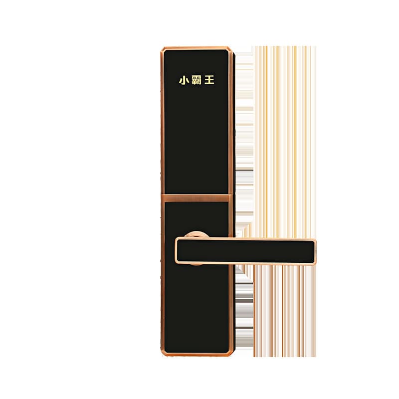 小霸王智能鎖 滑蓋指紋鎖E4/E4S C級雙模鎖芯智能鎖