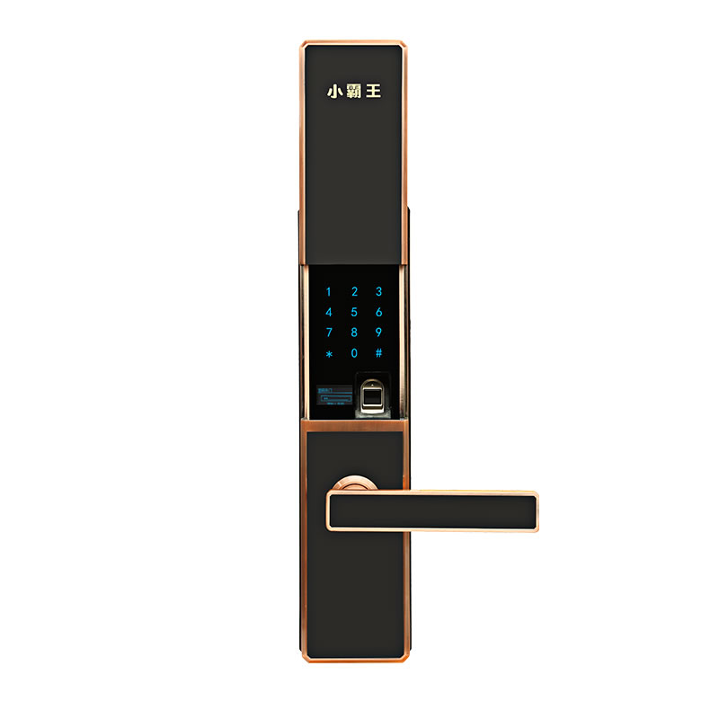 小霸王智能鎖 滑蓋指紋鎖E4/E4S C級雙模鎖芯智能鎖