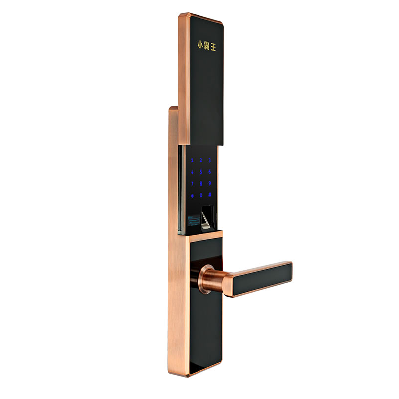 小霸王智能鎖 滑蓋指紋鎖E4/E4S C級雙模鎖芯智能鎖