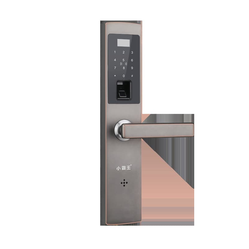 小霸王指紋鎖 防盜指紋鎖E6 密碼鎖指紋鎖