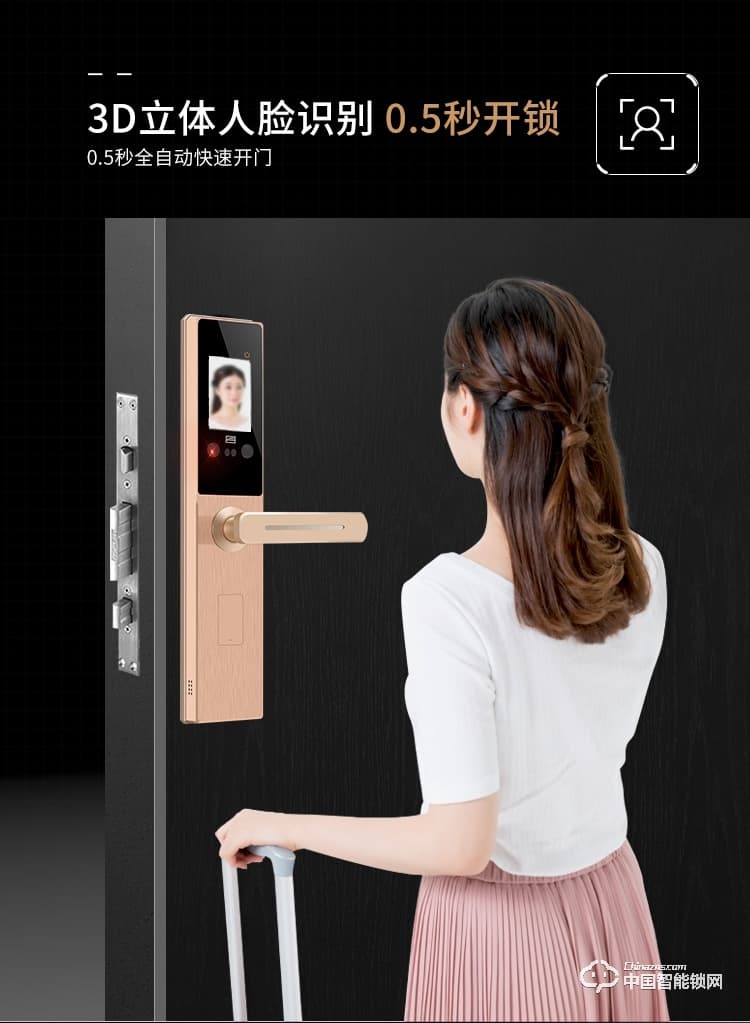 浩宇興智能鎖 人臉識別鎖防盜門鎖密碼鎖
