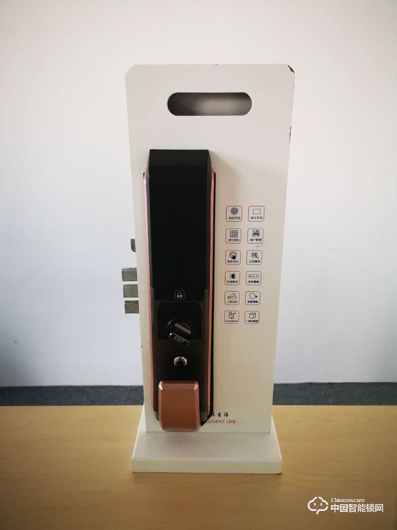云鎖信安智能鎖 全自動(dòng)推拉指紋鎖 家用智能密碼鎖
