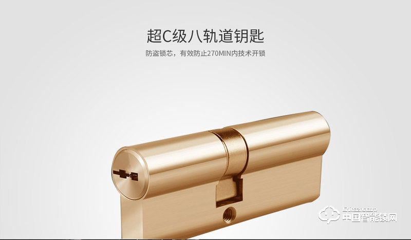 茵朗智能鎖 人臉識別智能鎖EF11