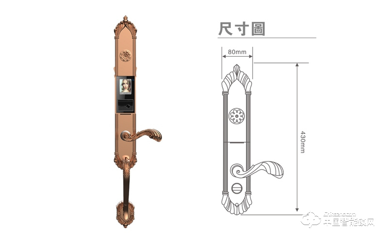 茵朗智能鎖 人臉識別智能鎖EF18