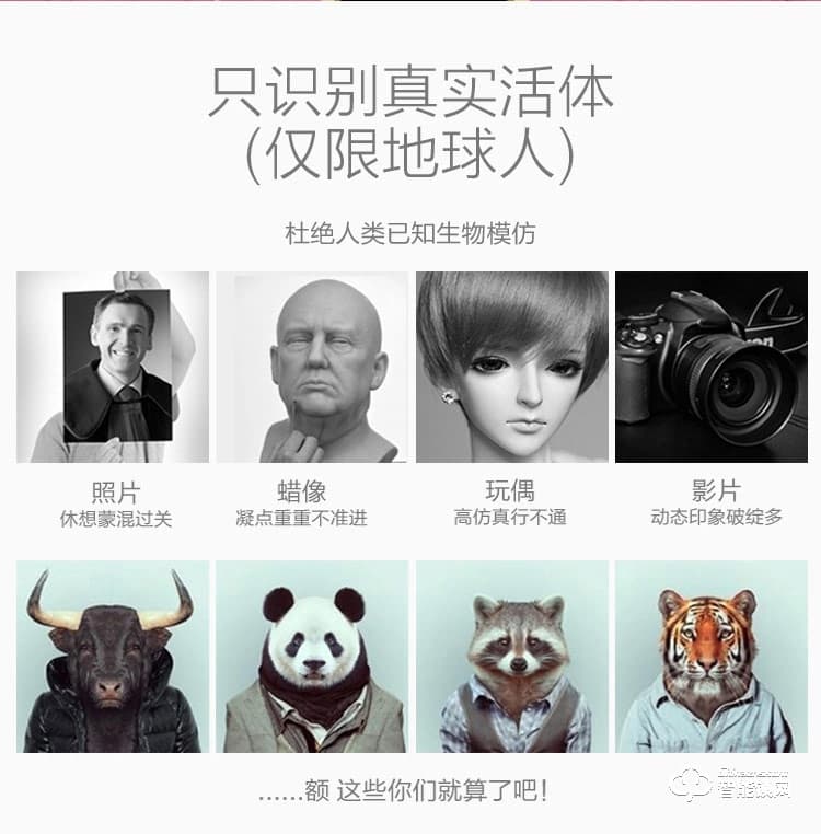 邁得豪智能鎖 MDH-M9 指紋鎖 直板電子密碼鎖