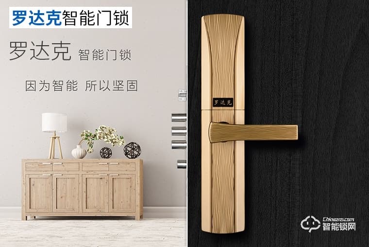 羅達克智能鎖 Z-08指紋密碼鎖
