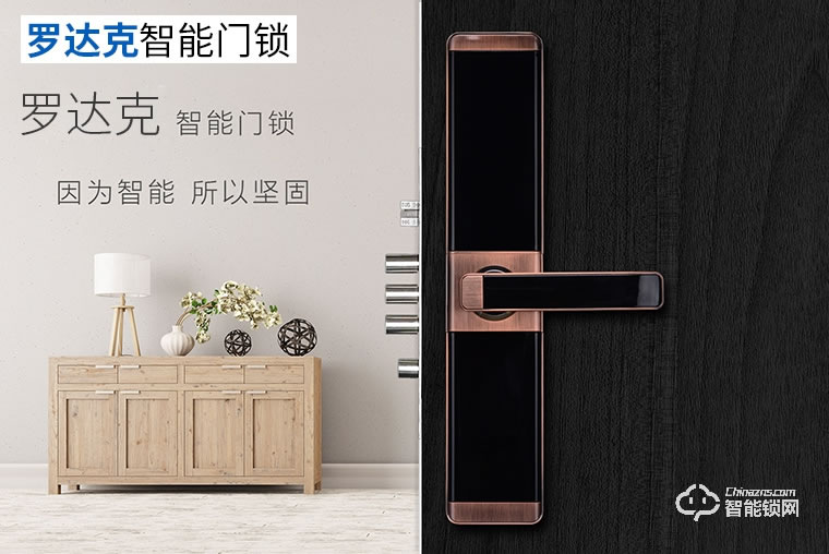 羅達克智能鎖 Z-12指紋密碼鎖