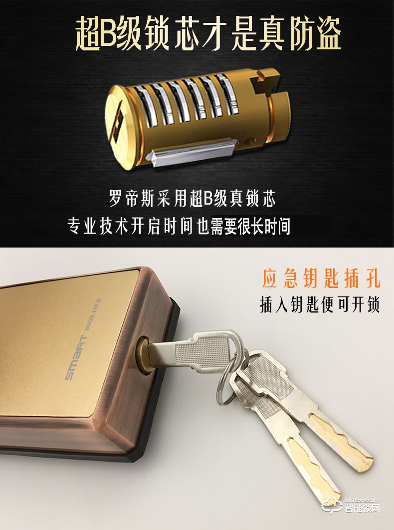 羅帝斯智能鎖 家用防盜鎖感應刷卡鎖