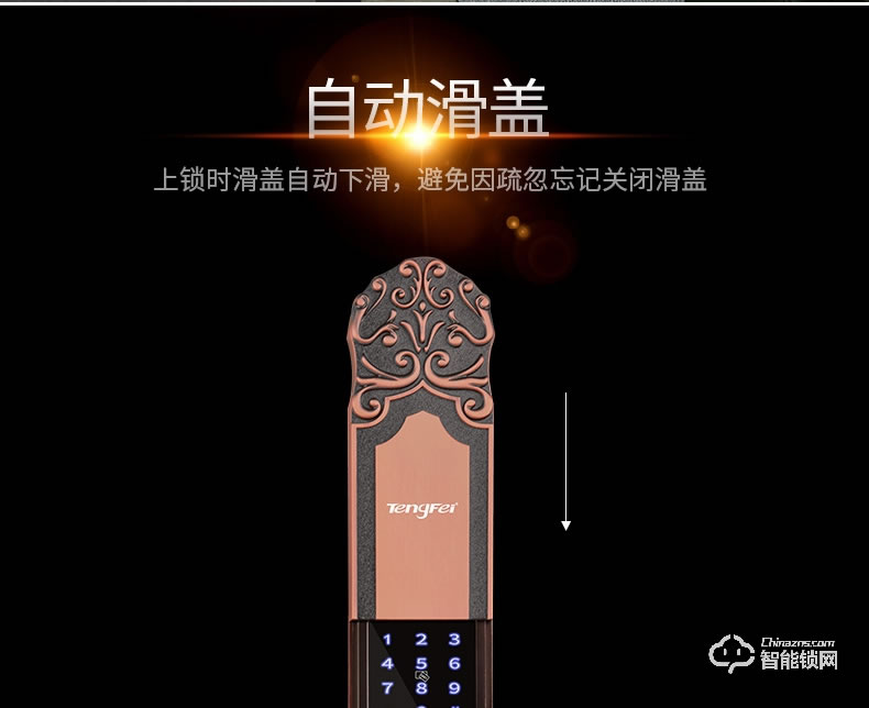 騰飛指紋鎖 歐式防盜門鎖智能密碼鎖