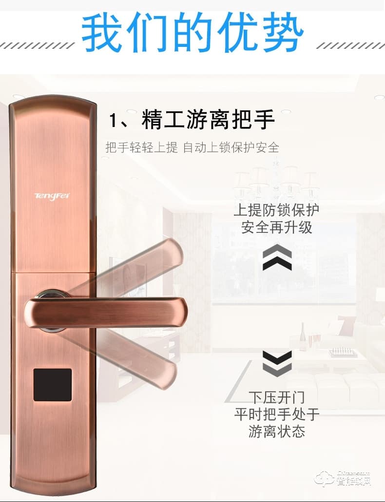 騰飛指紋鎖 智能人臉識(shí)別家用防盜門密碼鎖