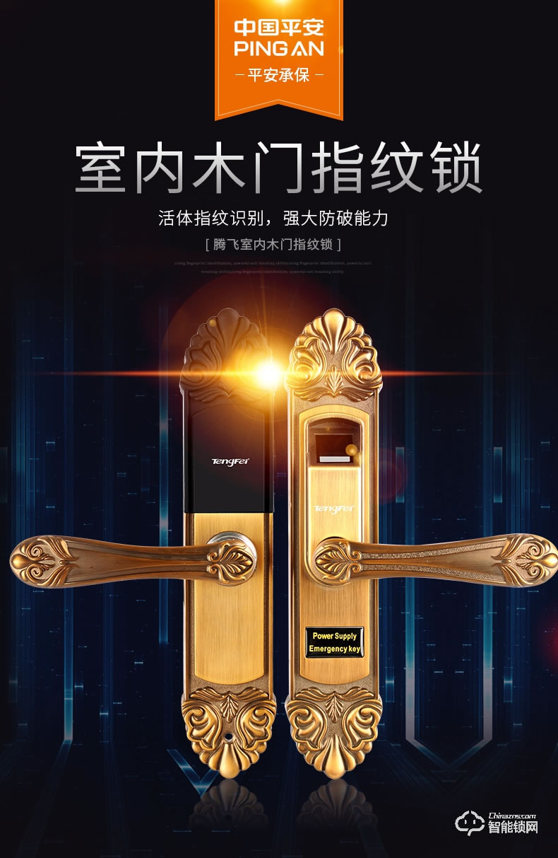 騰飛指紋鎖 家用房門鎖室內木門鎖