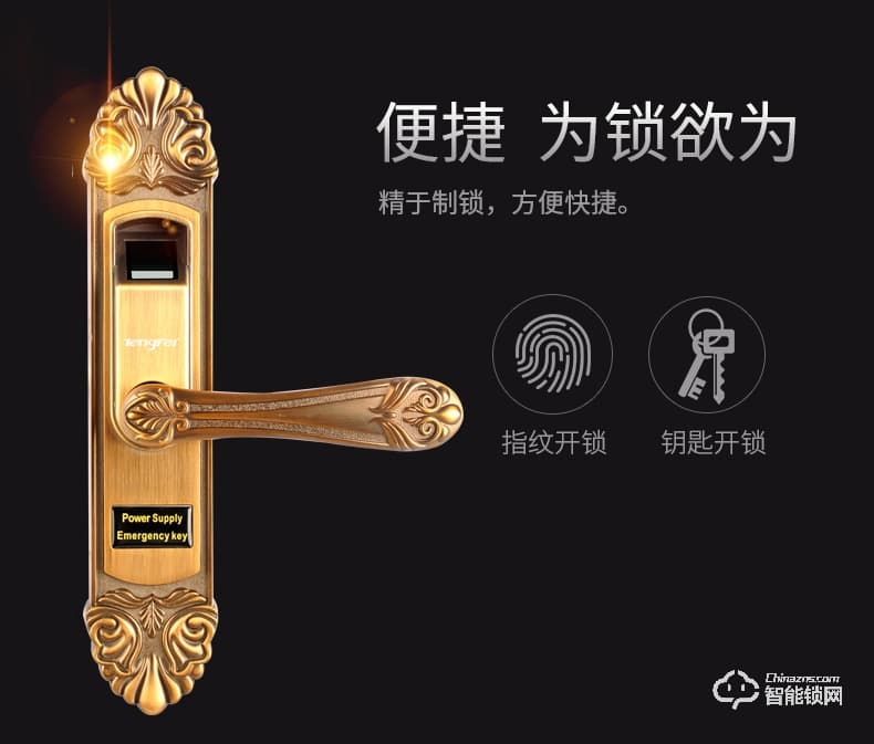 騰飛指紋鎖 家用房門鎖室內木門鎖