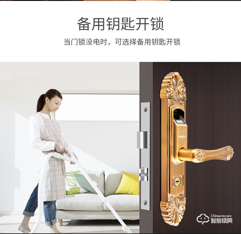 騰飛指紋鎖 家用房門鎖室內木門鎖