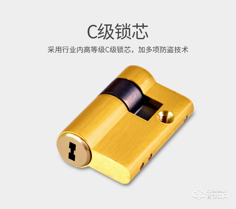 騰飛指紋鎖 家用房門鎖室內木門鎖