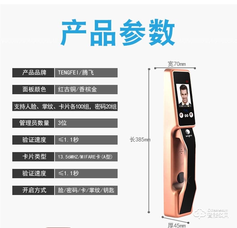 騰飛指紋鎖 全自動人臉識別鎖家用防盜門鎖