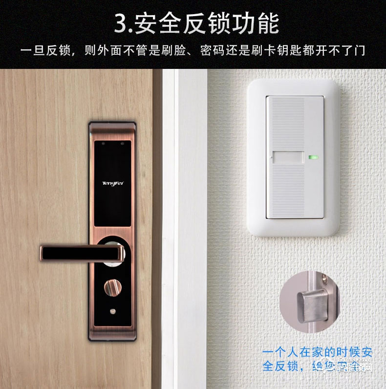 騰飛指紋鎖 人臉識別鎖家用推拉式智能密碼鎖