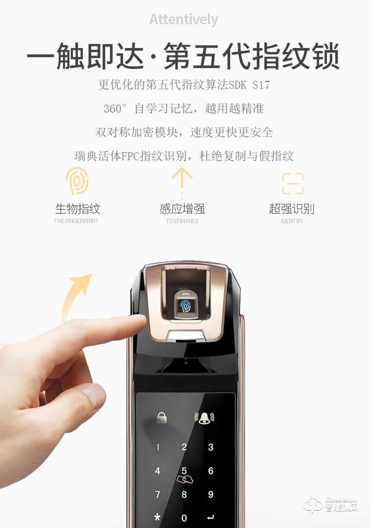 深麗安智能鎖 D5全自動(dòng)指紋鎖家用防盜門智能鎖