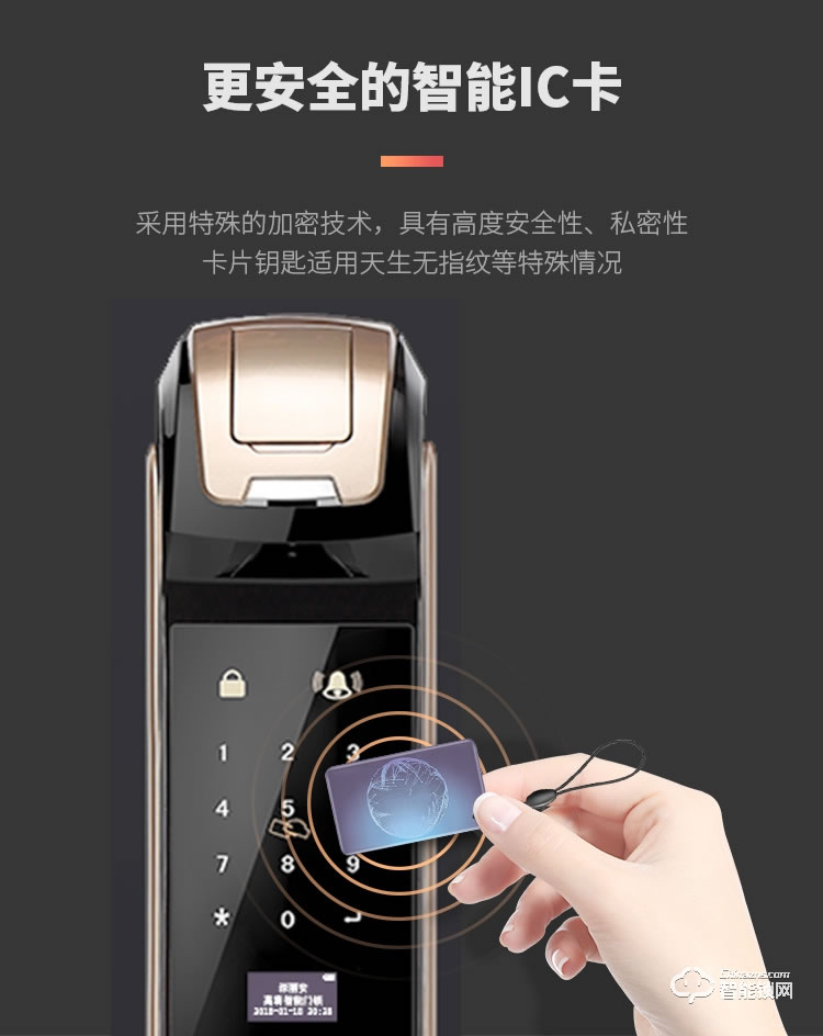 深麗安智能鎖 D5全自動(dòng)指紋鎖家用防盜門智能鎖