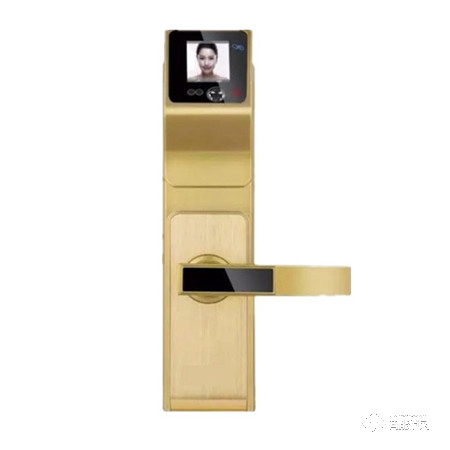 歐瑞佳智能鎖 人臉識(shí)別鎖家用防盜門掌紋識(shí)別鎖