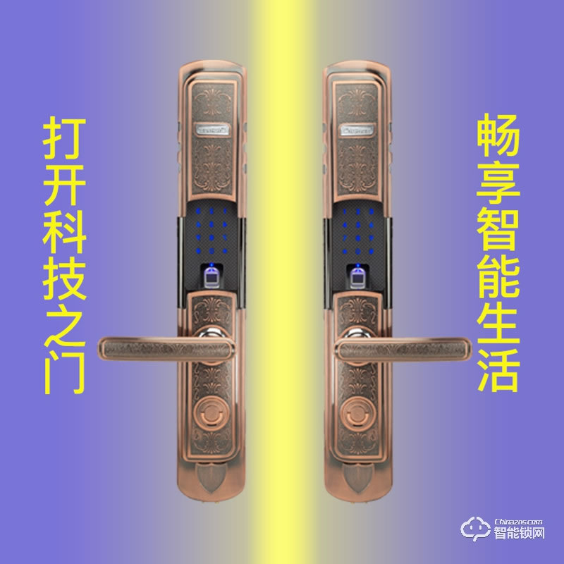 紋盾美智能鎖  L6S歐式經典智能鎖