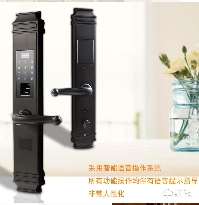 世連泰好純銅智能鎖 SL938指紋鎖密碼鎖木門電子鎖