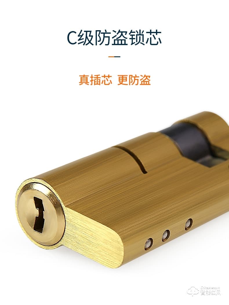 巨頭智能鎖 復(fù)古銅門雙開門智能門鎖