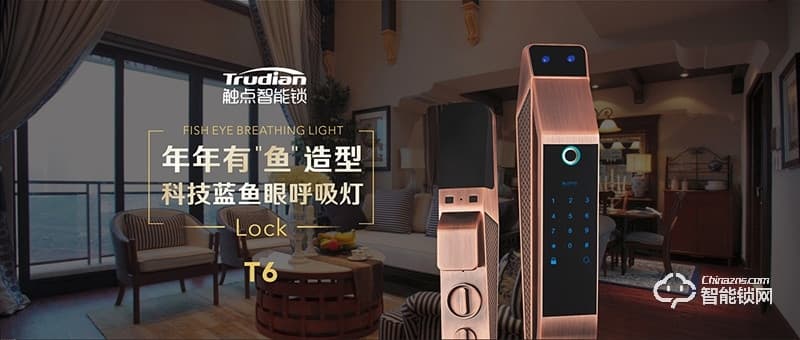 觸點智能鎖 T6藍色魚眼呼吸燈智能鎖