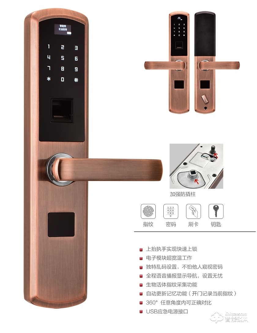 攀迪歐智能鎖 01號虛位密碼C級鎖芯智能鎖