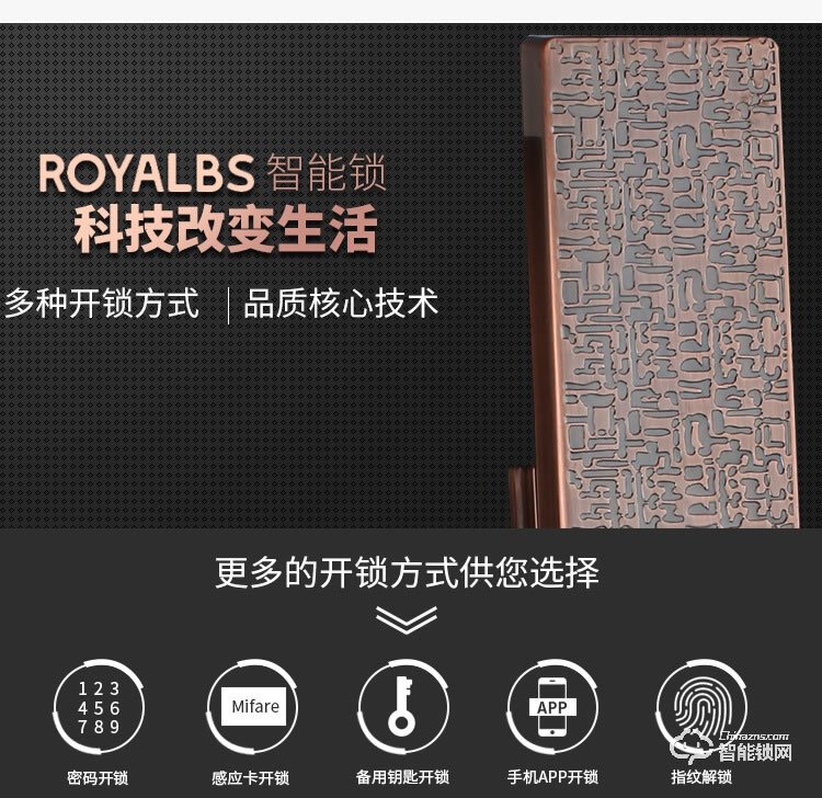 皇嘉博世智能鎖 家用防盜門(mén)智能鎖