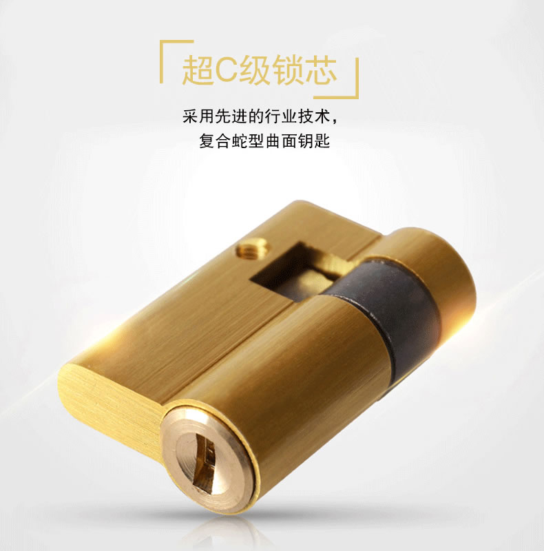 佰德龍智能鎖 239家用防盜門電子密碼鎖