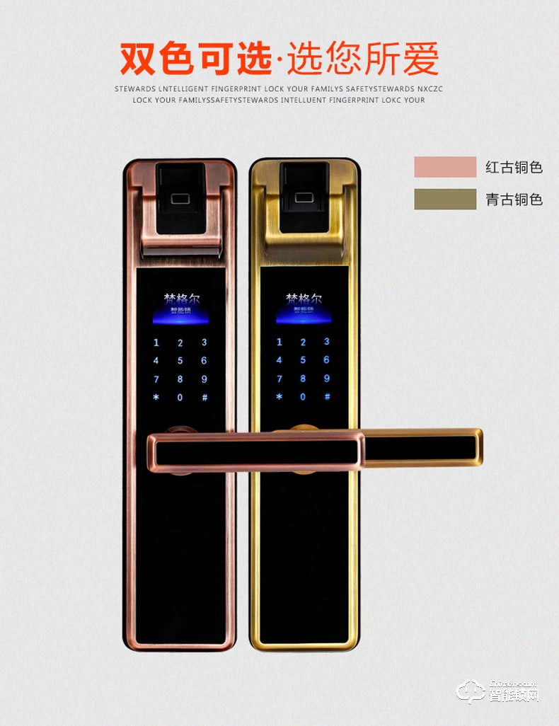 佰德龍智能鎖 239家用防盜門電子密碼鎖