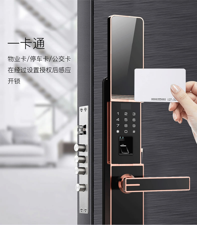 佰德龍智能鎖 219家用防盜門指紋鎖遠程智能鎖