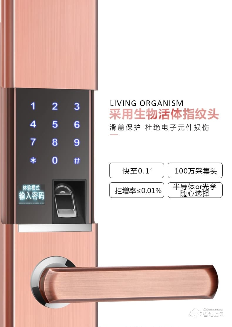 凌仕智能鎖 防盜密碼鎖智能電子鎖