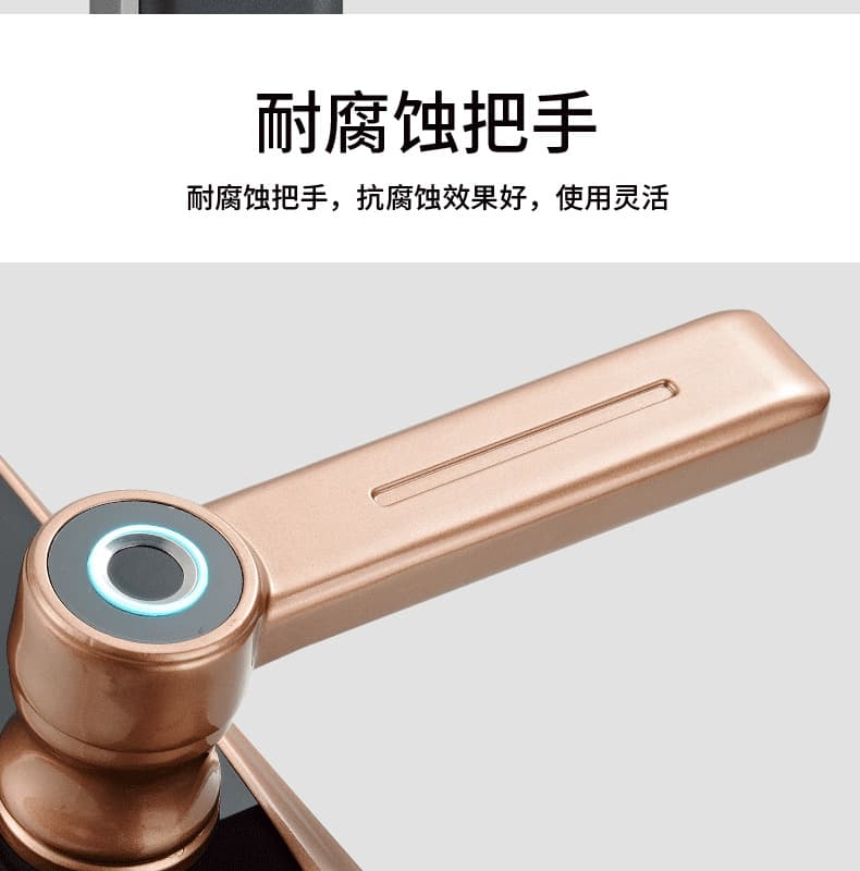 創鴻智能鎖 T21家用一握開把手指紋鎖