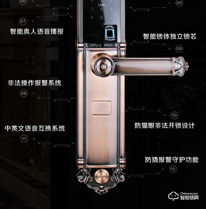 匠星智能鎖 JP2s室外防水別墅雙開門智能鎖