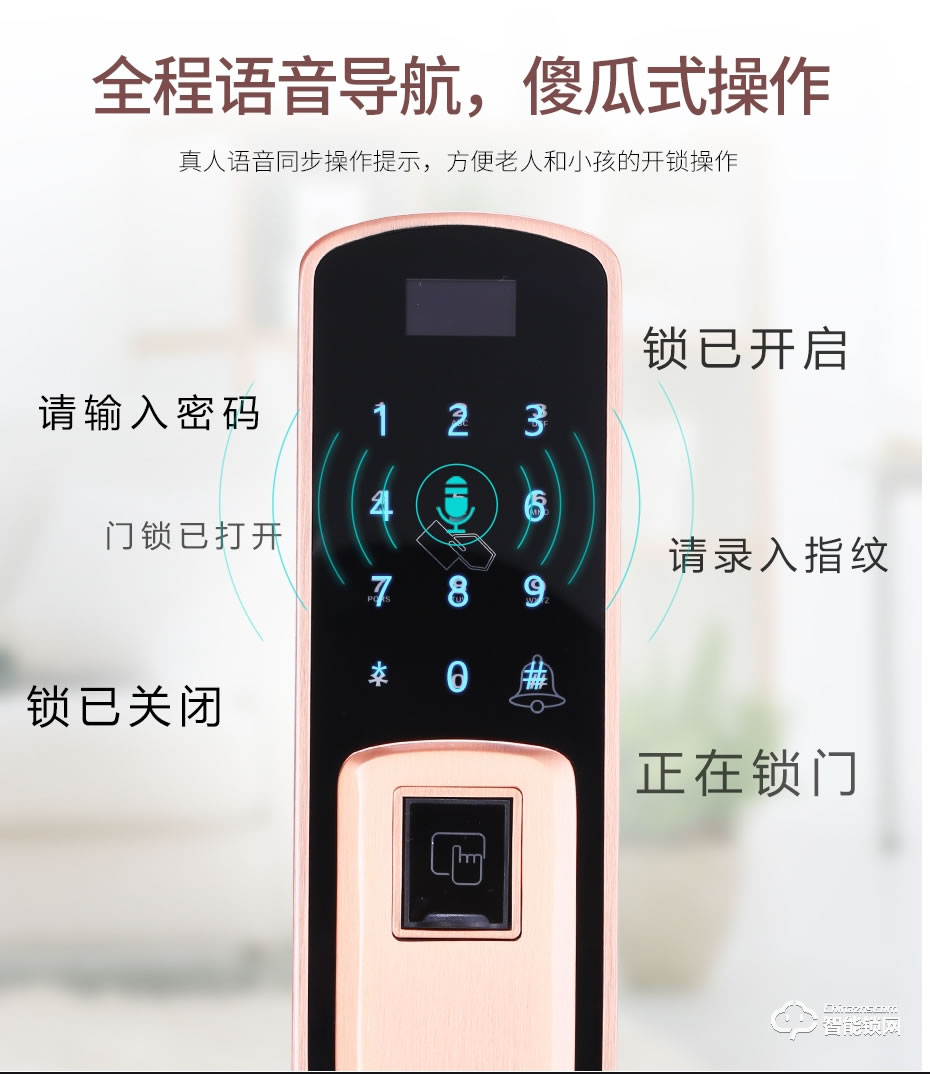 觸享智能鎖 CXL12系列時尚風(fēng)智能門鎖