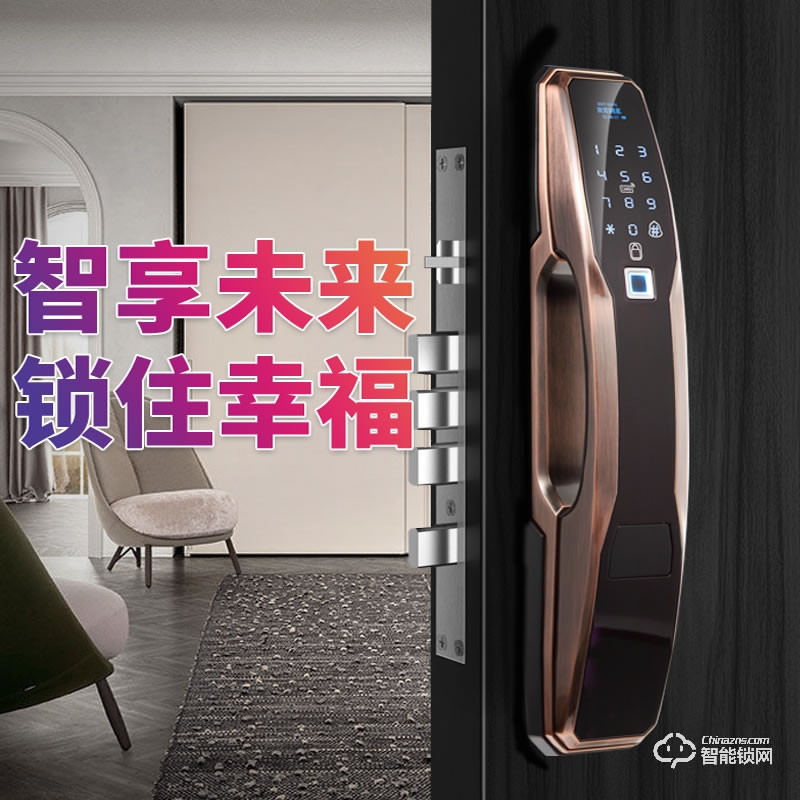 艾爾邁智能鎖 家用防盜門(mén)遠(yuǎn)程大門(mén)電子密碼鎖
