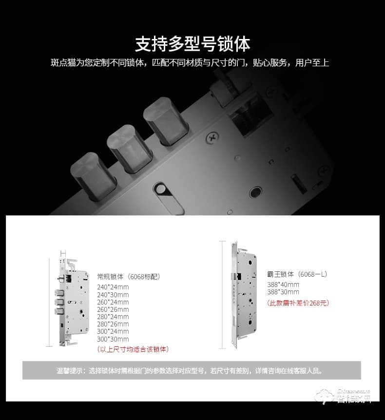 斑點貓智能鎖 W200物聯網指紋鎖家用防盜門鎖