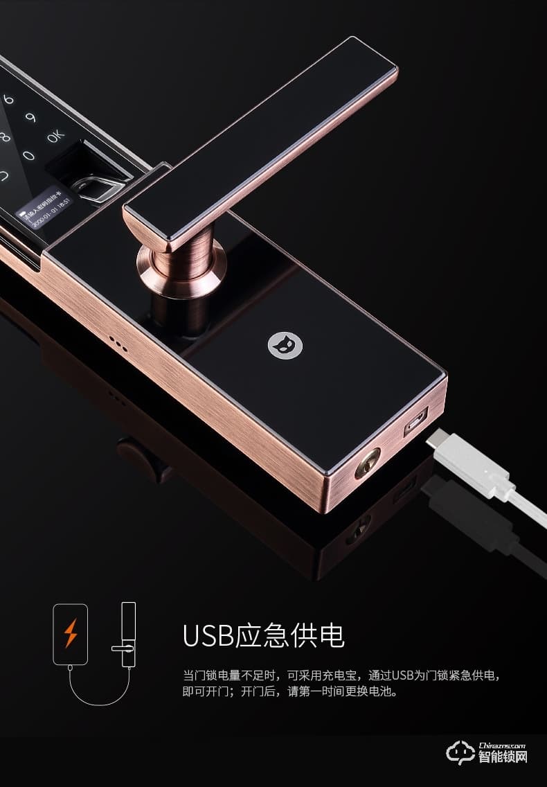 斑點(diǎn)貓智能鎖 W400全自動物聯(lián)網(wǎng)大門電子鎖