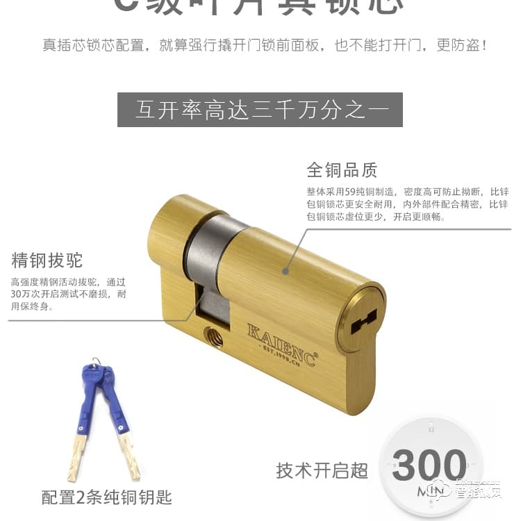 凱恩斯智能鎖 防盜密碼鎖刷卡鎖批發(fā)