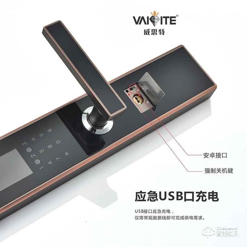 威思特智能鎖 N5人臉識別智能鎖