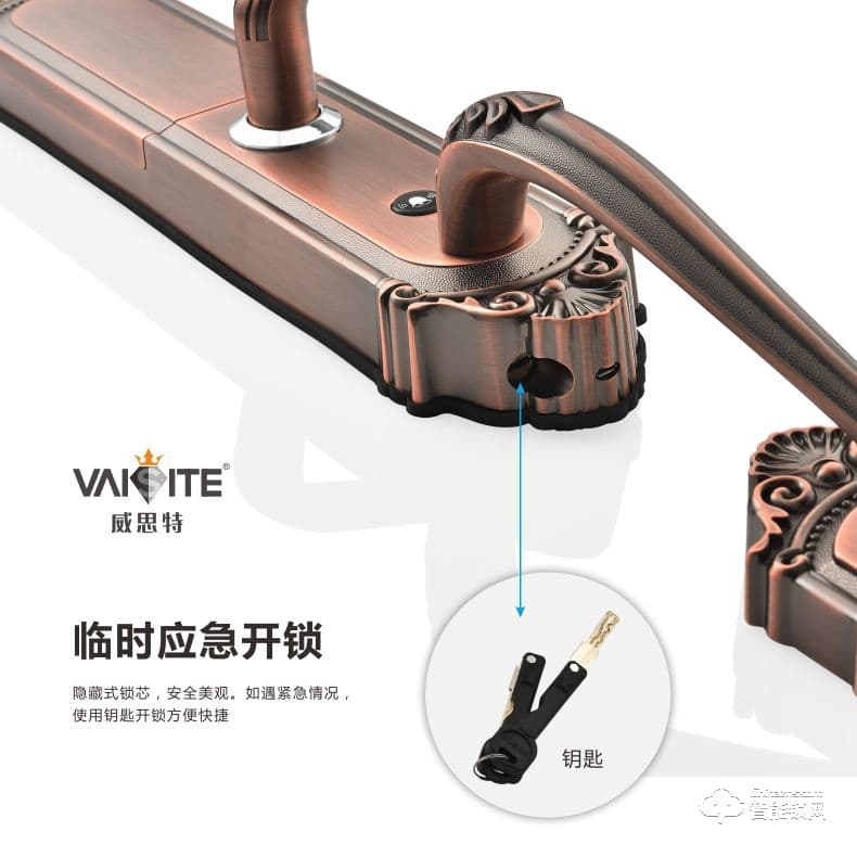 威思特智能鎖 P10豪華別墅大拉手智能指紋鎖