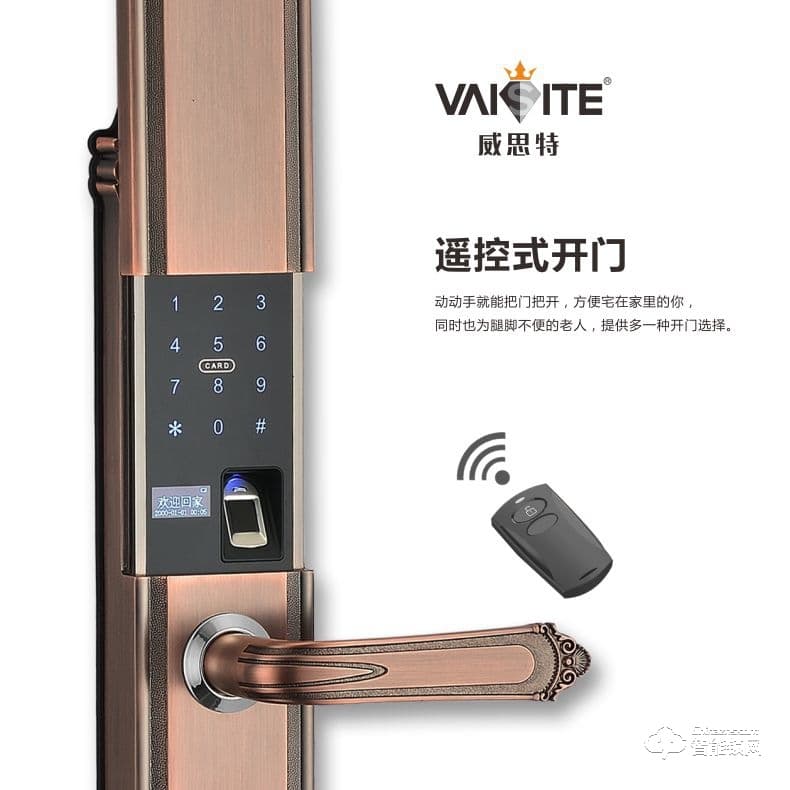 威思特智能鎖 P10豪華別墅大拉手智能指紋鎖