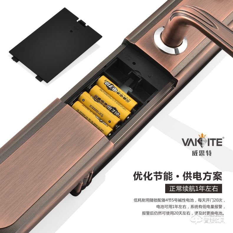 威思特智能鎖 P10豪華別墅大拉手智能指紋鎖
