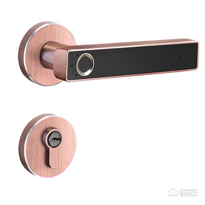 安興智能鎖 AX-R10X系列分體式酒店鎖防盜電子鎖