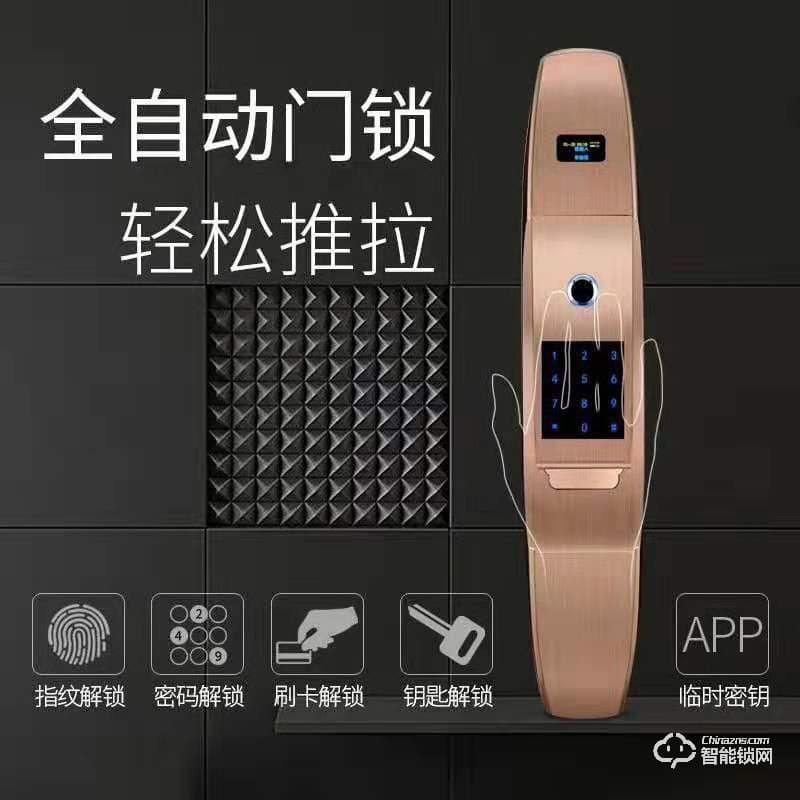 芯盾威龍智能鎖 和諧一號(hào)家用防盜智能鎖