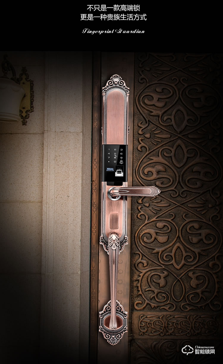 薩萊明智能鎖 V8別墅鋅合金智能門鎖