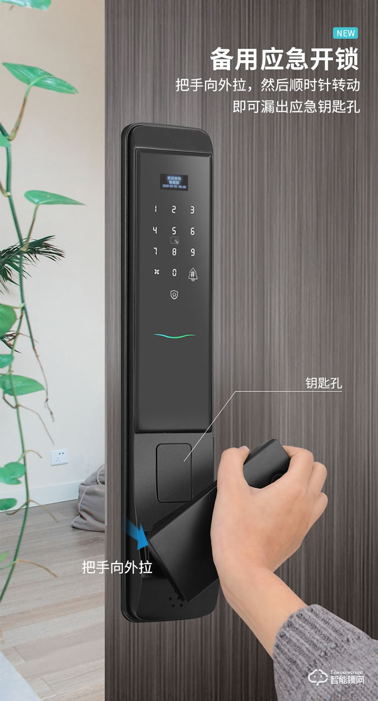 薩萊明智能鎖 Q8全自動智能門鎖