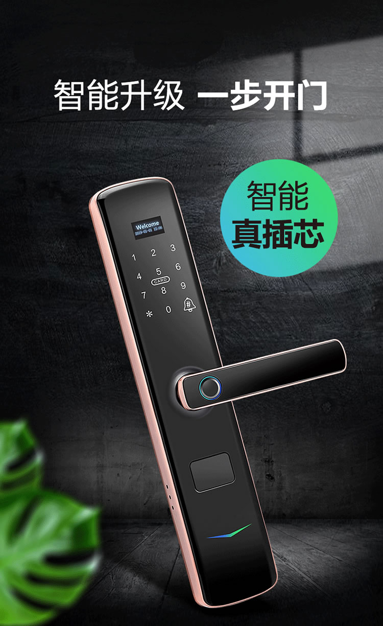 薩萊明智能鎖 V6一握開家用防盜門鎖指紋密碼鎖